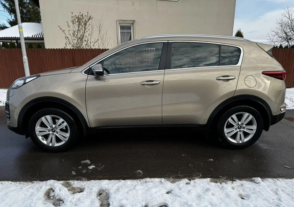 Kia Sportage cena 75900 przebieg: 67000, rok produkcji 2016 z Rzeszów małe 172